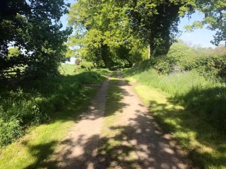 Track towards Siddington