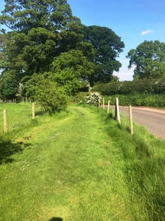 Path from the picnic area to the lake