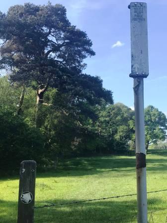 Footpath to Capesthorne from Fanshawe Lane