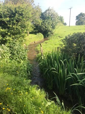 Stream near the drive to Sycamore Farm