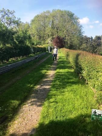 The path past Hazelwall