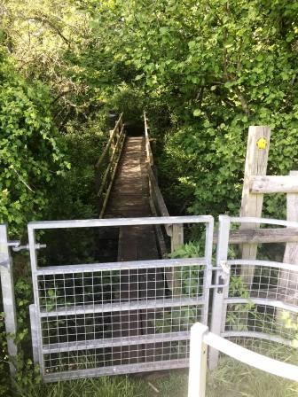 Footbridge over Fanshawe Brook