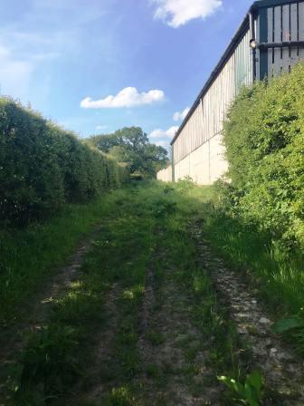 Springbank Farm