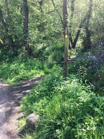 Right onto public footpath near Kishfield Bridge