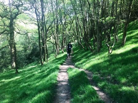 Lovely woodland footpath towards Toddbrook Reservoir