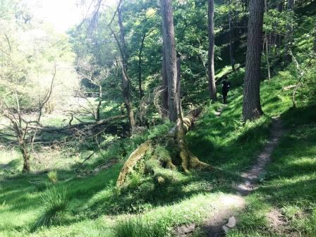 Public footpath towards Toddbrook Reservoir