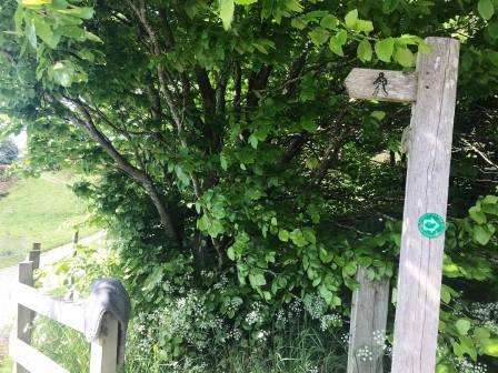 Public footpath sign on Kishfield Lane