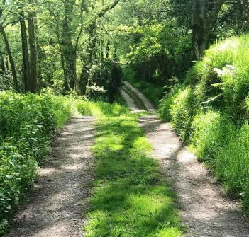 Track to Cornhill Farm