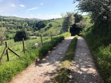 Track away from Bailey's Farm