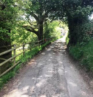 Turn right along the lane towards Cornfield Farm