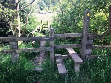 A double stile near Todd Brook