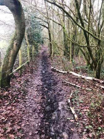 Path behind Macclesfield Leisure Centre and Fallibroome School