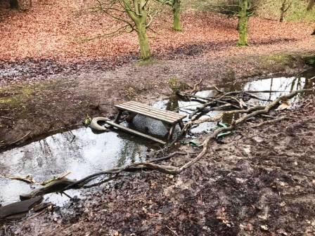 A rather novel footbridge over a brook!