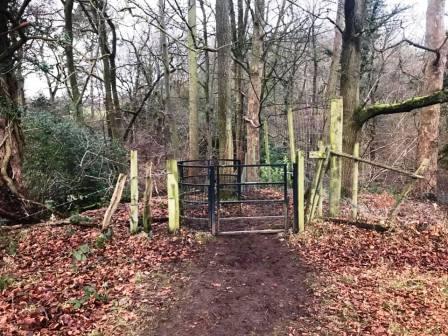 Entrance into Big Wood