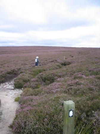 Ascending the area known as Lough Shaw