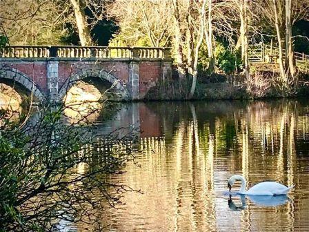 Capesthorne Hall estate photo