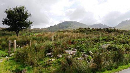 Looking across to Moelwyn Mawr from the parking spot