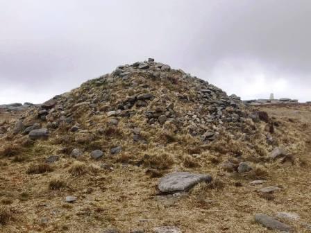 A vegetated cairn!