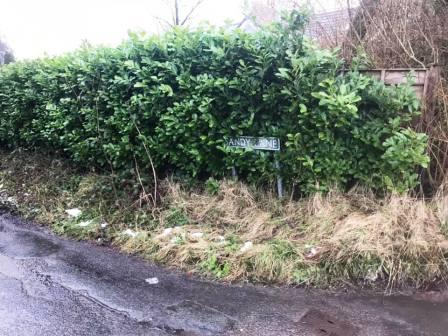 Top of Sandy Lane