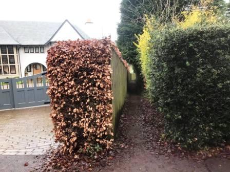 Snicket path between Kings campus and Prestbury Golf Club