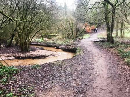 Streams and bridge at the lowest point of Prestbury Golf Club