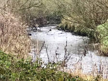 River Bollin, Prestbury