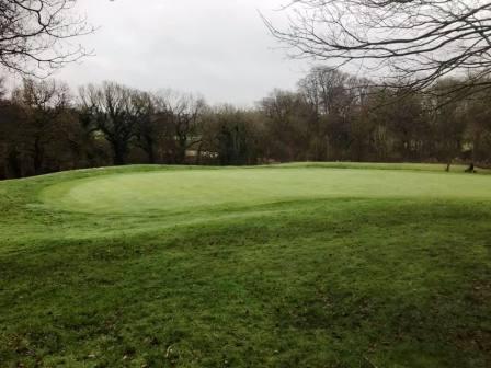 One of the greens