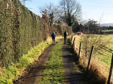 Track from the common at Whirley towards Andertons Lane