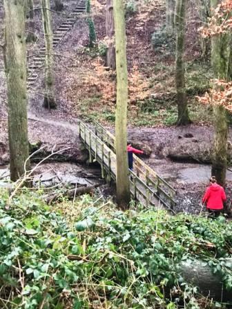 Path crossing from the North to the South side of Tytherington Wood