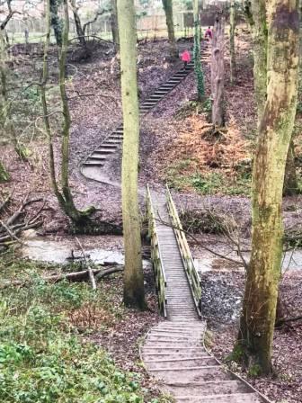 Bottom of Tytherington Wood