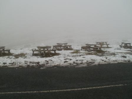 Lovely day for a picnic