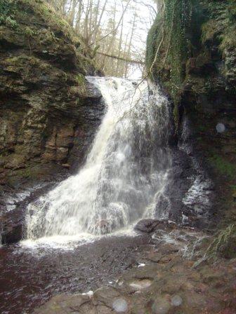 Hareshaw Linn