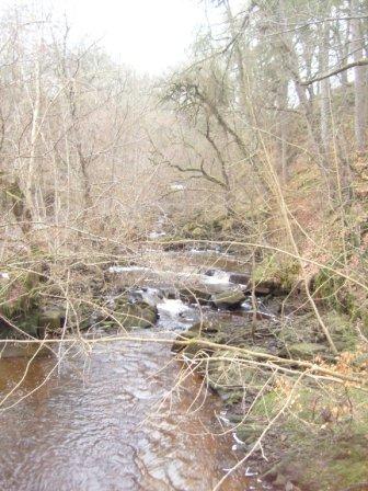 Hareshaw Linn