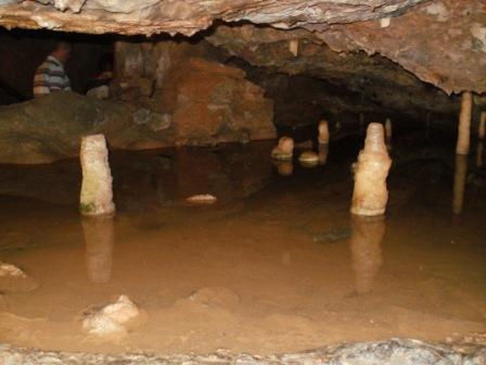 In Gough's Cave