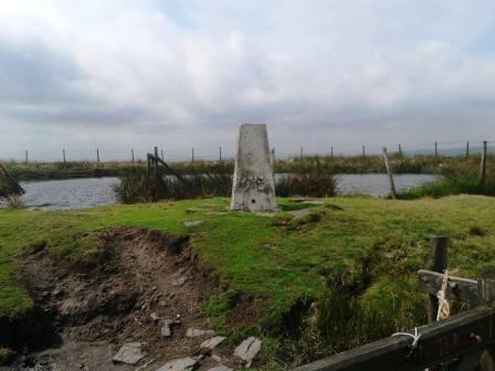 Summit of Freeholds Top