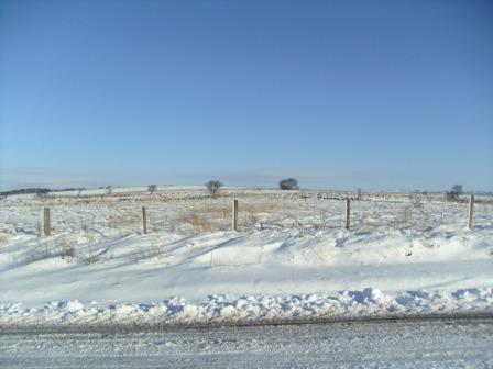 Looking towards the summit from the road