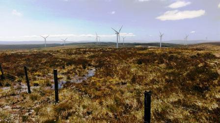 Overlooking a wind farm from the summit