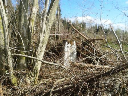 The obscured trig point