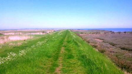 Tollesbury sea wall