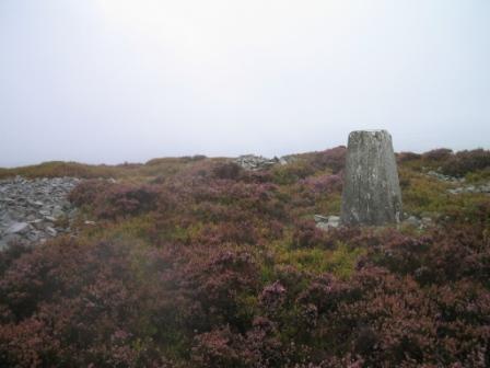 Trig point on Heath Mynd