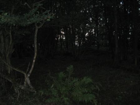 The true summit is in there, somewhere