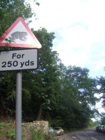 Parking spot for The Wrekin - beware of the killer frogs!