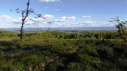 Nice view over the Severn estuary