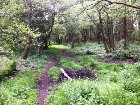 Path to continue south