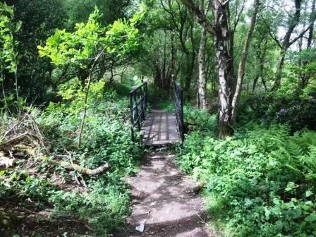 Danes Moss Nature Reserve