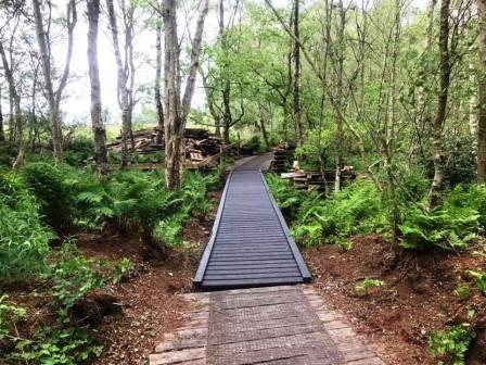 Danes Moss Nature Reserve
