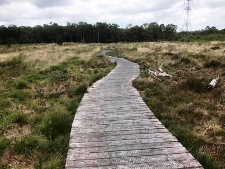 Danes Moss Nature Reserve