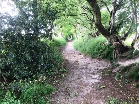 Footpath from Danes Moss Nature Reserve to Danes Moss Farm