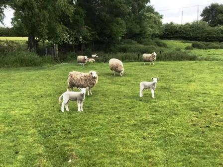 Danes Moss Farm