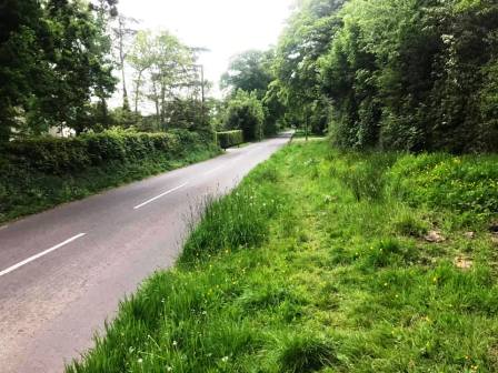 Faint path in grass verge alongside Pexhill Road
